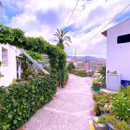 Tropicalidays Mountain Haven Retreat 펜션 *