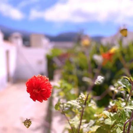 Tropicalidays Mountain Haven Retreat Holiday home Vilaflor
